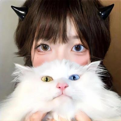 真爱赌注
